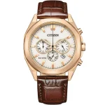 ساعت مچی مردانه سیتیزن (CITIZEN) مدل CA4593-15A