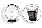 عکس ساعت مچی مردانه فستینا(FESTINA) مدل f20012/1