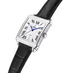 عکس ساعت مچی مردانه فستینا(FESTINA) مدل F20681/1