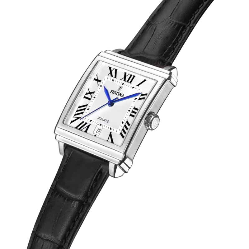 عکس ساعت مچی مردانه فستینا(FESTINA) مدل F20681/1