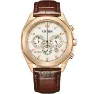 ساعت مچی مردانه سیتیزن (CITIZEN) مدل CA4593-15A